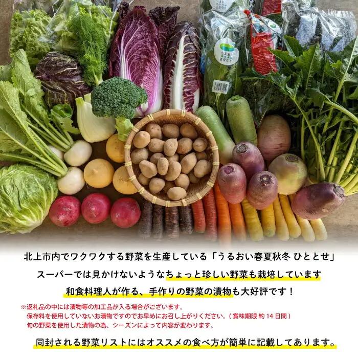 6ヶ月 定期便 四元豚 厳選カット肉 と 季節のうるおい野菜セット GIFTON ギフトン お歳暮 ギフト 豚肉 野菜 ｾｯﾄ 豚肉 焼肉 岩手県 北上市 ごえん O0038R0807 全6回 豚肉定