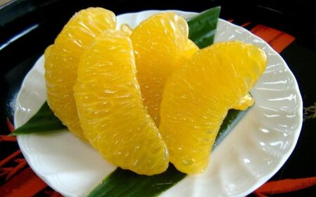 和歌山由良町産 はっさく 約5kg 秀品 サイズおまかせ (Ｌまたは２Ｌいずれかお届け) ※2026年3月下旬より順次発送【sml120】