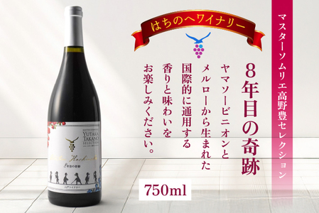 8年目の奇跡 マスターソムリエ_野豊セレクション 750ml＆青森ナイアガラ2022【甘口】マスターソムリエ_野豊セレクション750ml　
