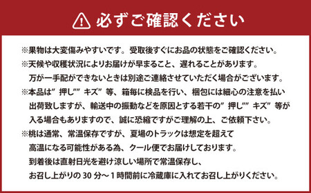 詰合 白桃 2玉 （1玉220g以上） シャインマスカット晴王 2房 （1房480g以上） 化粧箱入り 【2025年7月下旬～8月上旬迄発送予定】 果物 くだもの フルーツ 桃 もも モモ ぶどう ブ