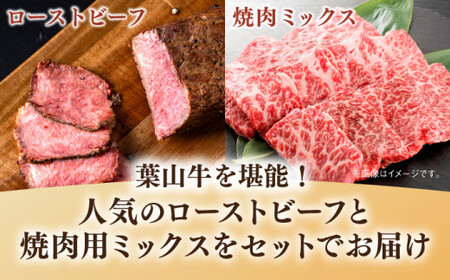 葉山牛 900g　焼肉ミックス・ローストビーフ ／ 焼肉 焼き肉 ローストビーフ [ASBD005]