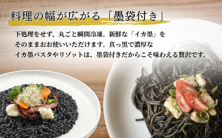 アカイカ 1kg（約2～4杯）イカ いか 海鮮【石川県漁業協同組合小松支所】 bo002n00
