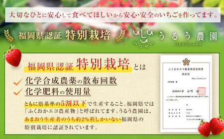 【特別栽培／有機質肥料／アフター保証】うるう農園 あまおう サイズ色々 4パック （約1140g）【2026年2月発送予定】 いちご イチゴ 苺 フルーツ 果物