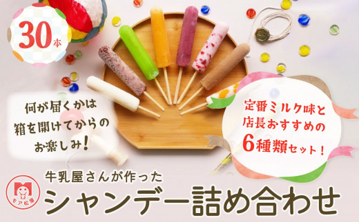 【予約受付】アイスキャンディー 詰め合わせ 6種 30本 セット 冬季限定発送 モア松屋のシャンデー 店長おすすめ！ キャンディー アイス 氷菓子