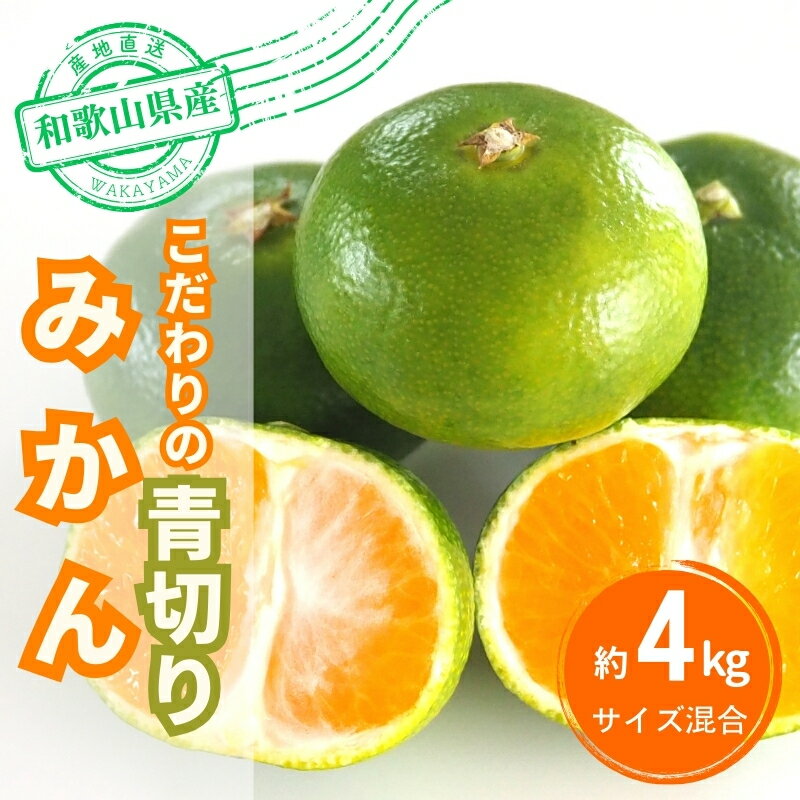 【ふるさと納税】 ＼光センサー選別／【2025年秋以降発送予約分】＼農家直送／こだわりの青切りみかん 約4kg 有機質肥料100% ※2025年9月下旬より順次発送予定（お届け日指定不可）