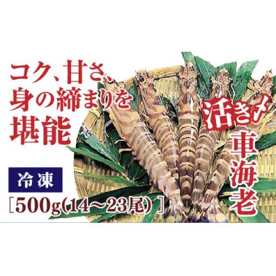 ふるさと納税 山口市 活き締め冷凍車えび500g D097