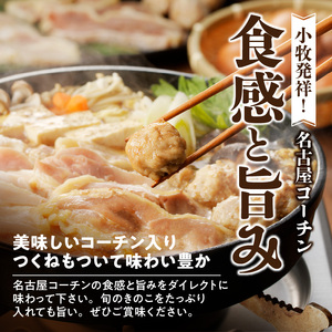 名古屋コーチンすき焼きセット 日本三大地鶏 ひきずり 鍋料理 郷土料理 [003D04]