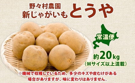 北海道 洞爺湖町産 新じゃがいも とうや 約20kg  Mサイズ以上混載 北海道産 新じゃが じゃがいも いも ジャガイモ 馬鈴薯 黄爵 芋 旬 野菜 農作物 送料無料 産地直送 常温 洞爺湖町