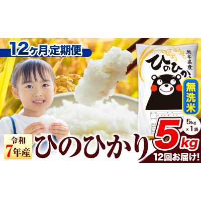 ふるさと納税 氷川町 【12ヶ月定期便】令和7年産 ひのひかり 無洗米 熊本県産 5kg《お申込み翌月から出荷》