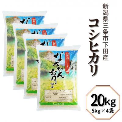 ふるさと納税 三条市 コシヒカリ 20kg (5kg×4袋) 令和7年産 新潟県三条市 【031S012】
