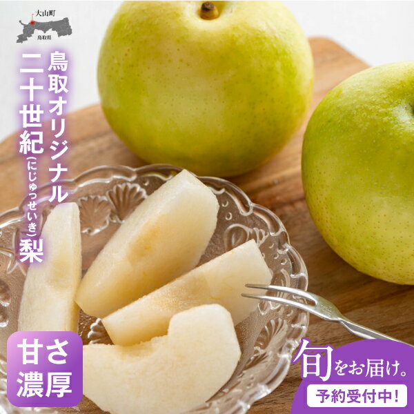 二十世紀梨 5kg 数量限定【発送8月下旬～9月中旬】DS-02