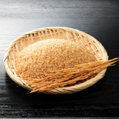 ふるさと納税 七尾市 【令和8年産】万行希望の丘農園 こしひかり 5kg |  | 01
