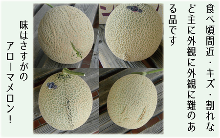 【訳あり品】静岡県産 アローマメロン 1玉 約1.0kg以上 化粧箱入 訳アリ 訳あり 果物 フルーツ メロン めろん 青肉 高級 高級ブランドメロン ブランドメロン 高級メロン