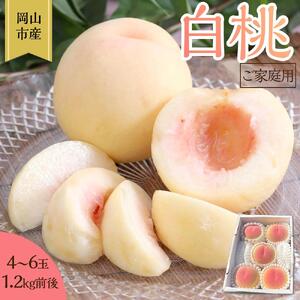 桃 2026年 ご家庭用 岡山 白桃 4玉～６玉 1.2kg 前後 もも 岡山県産 国産 フルーツ 果物 雅桃園