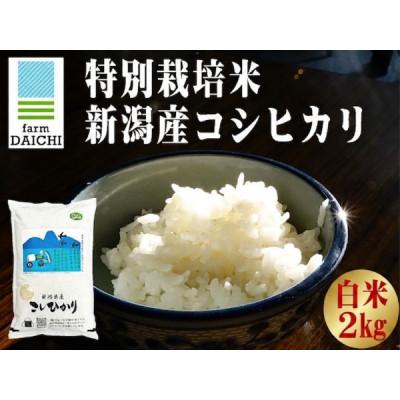 ふるさと納税 上越市 【特別栽培米 新潟産コシヒカリ 白米】新潟県認証米 令和7年産 2kg