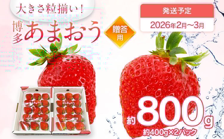 
            先行予約 あまおう 合計約800g 約400g×2パック（１パックあたり、9玉～18玉） 福岡県産 九州 イチゴ いちご 苺 果物 くだもの フルーツ 送料無料【2026年2月～2026年3月順次発送】
          