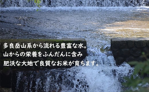 11月発送開始 定期便 3ヶ月 佐賀県産 さがびより 玄米 10kg《3ヶ月連続 毎月お届け》F-16 3回 新米 玄米10kg×3回定期便