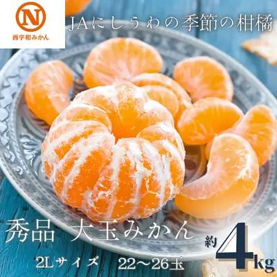 【先行受付】JAにしうわの季節の柑橘(にしうわみかん「秀品2L大玉みかん」約4kg)【C08-72】 YWTV029
