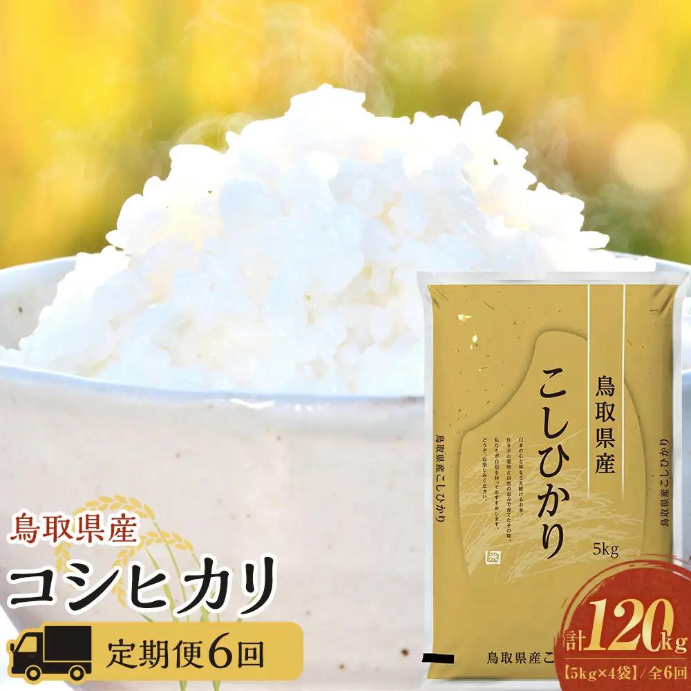 1099.【定期便全6回】【令和8年産新米産】【食味鑑定士厳選】 鳥取県産 コシヒカリ20kg (5kg×4袋) 合計 120kg