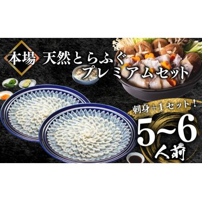 ふるさと納税 下関市 天然とらふぐ ふぐ刺し ふぐちり 皮刺し 焼きヒレ 冷凍 陶器 プレミアムセット+α BV021_1