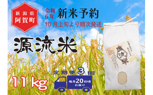 《令和6年産米》【定期便】3回　源流米　コシヒカリ11kg（1袋） ～七福の恵をあなたにも～