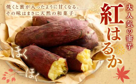 “熟成” 茨城県産 さつまいも 【 紅はるか 】 約5kg （茨城県共通返礼品・行方市産） 芋 いも サツマイモ 野菜 やさい 国産