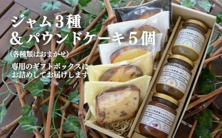 【きよとうファーム】果樹園から届く果実ジャム3種＆パウンドケーキ5個(岡山県産) 【KF-K007-01】