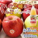 【ふるさと納税】 特選（大玉） 青森産 完熟 りんご 約3kg サンふじ 王林 2種セット ＆ りんごジュース セット 【誠果園】 青森りんご リンゴ 林檎 アップル あおもり 青森 青森県 南部町 三戸 南部 澁川賞受賞 果物 くだもの フルーツ F21U-231