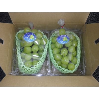 
            ＜先行受付＞＜150口限定＞シャインマスカット　2房(2026年9月上旬～中旬発送予定)【1697171】
          