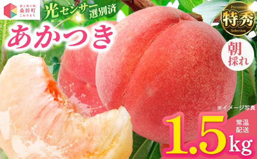 もも【あかつき・2026年産】特秀1.5kg「献上桃の郷ブランド品」桑折町産　JAふくしま未来　桃　【07301-0136】