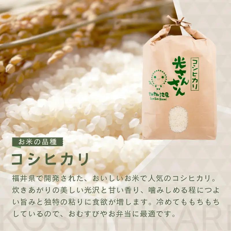 先行予約 令和8年産・新米 コシヒカリ 5kg 上白米 福井県産コシヒカリ  [A-0267_01]