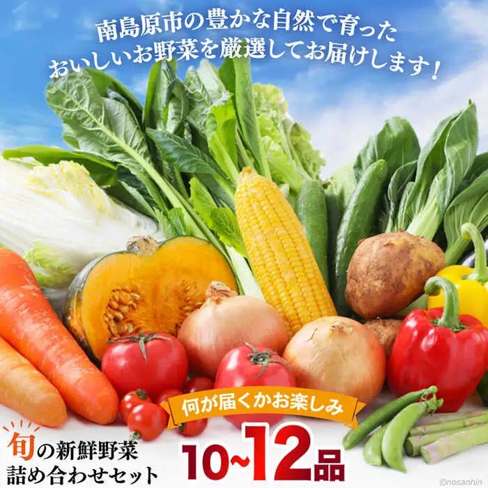【12回定期便】野菜定期便 [SCB097] 