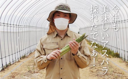 2026年産 柔らか甘いアスパラガス　L~2L 1.5kg グリーンアスパラ アスパラ [B0201x] syun79