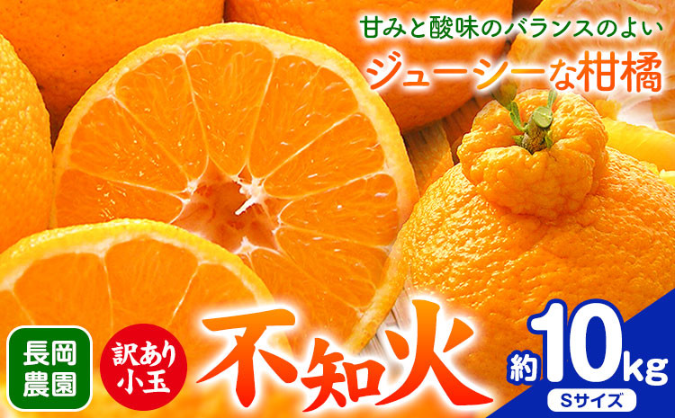 
                  不知火【先行予約】訳あり 小玉 不知火 ( デコポン )と同品種 約10kg 長岡農園《2027年3月中旬-4月下旬頃出荷》和歌山県 日高川町 果物 フルーツ 柑橘 不知火 しらぬい 小玉 訳あり ご家庭用 送料無料
                
