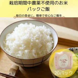 2026年1月発送予定【無添加】ご飯パック20個　栽培期間中農薬不使用米のパックご飯【1583360】