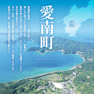 【鯛】 わら焼き 鯛 の たたき 天然 真鯛 鯛 鯛 愛媛県 愛南町 シュートエンタープライズ