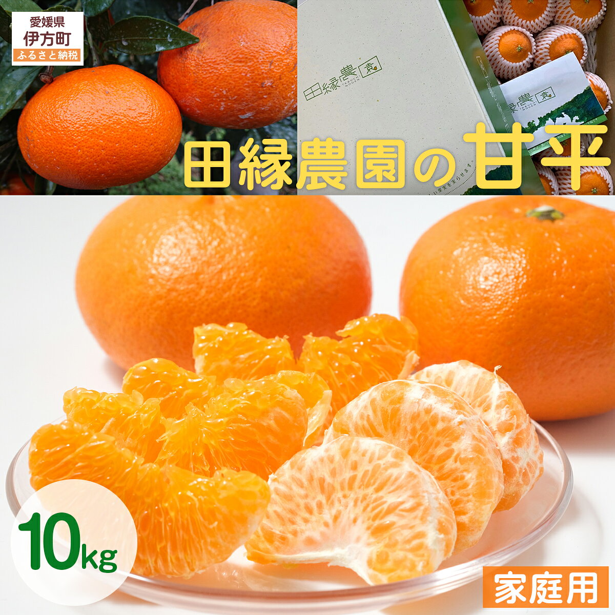 【ふるさと納税】【先行予約】【家庭用】甘平 10kg ※離島への配送不可 （2027年1月25日より順次発送） 【ふるさと納税 人気 おすすめ ランキング みかん ミカン 蜜柑 甘平 かんぺい フルーツ 果物 愛媛県産 田縁農園 愛媛県 伊方町 送料無料】 IKTA032