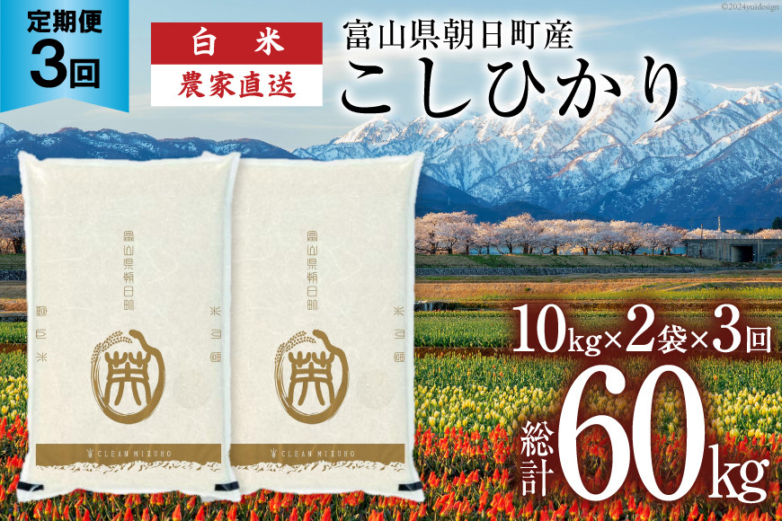 
            【3ヶ月定期便】米 20kg 精米 計60kg  [有限会社 クリーンみず穂 富山県 朝日町 34310443] お米 コシヒカリ コメ ご飯 ごはん 白米 農家 直送 一等米
          