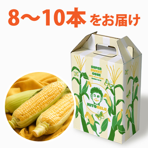 【本田農園】ミトレル朝どれトウモロコシ【とうもろこし コーン 野菜 新鮮 期間限定 朝採れ 糖度 お取り寄せ 旬 旬野菜 水戸市 茨城県】（JN-1）
