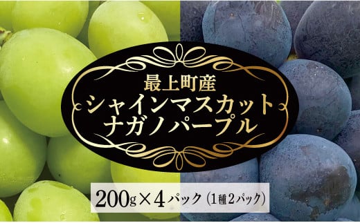 
最上町産【シャインマスカット＆ナガノパープル】各200g×2P
