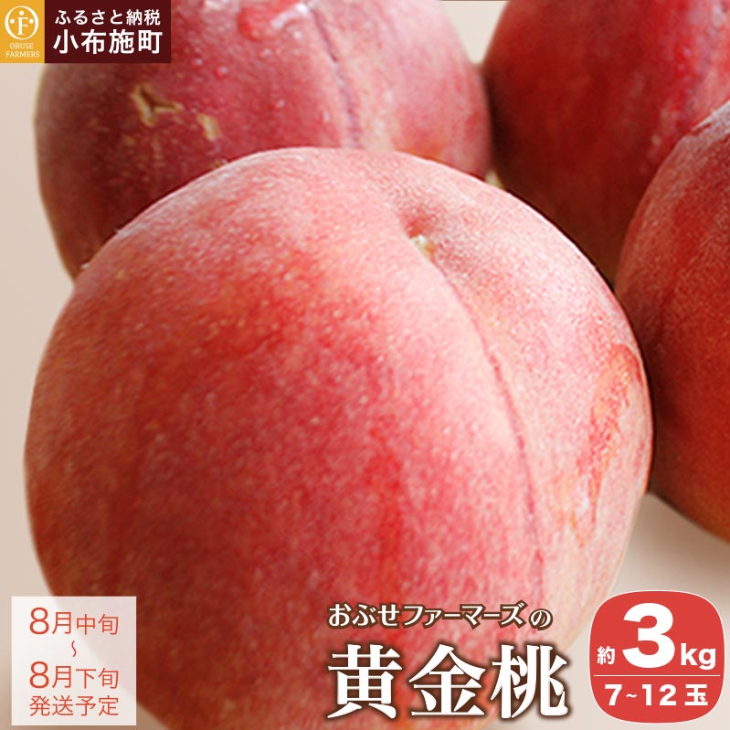 黄金桃 約3kg 7～12玉 ［おぶせファーマーズ］桃 もも モモ ピーチ フルーツ 果物 長野県産 信州産 クール便 冷蔵便 先行予約 数量限定 産地 直送 お取り寄せ 産地直送 令和7年産【2025年8月中旬～下旬発送】