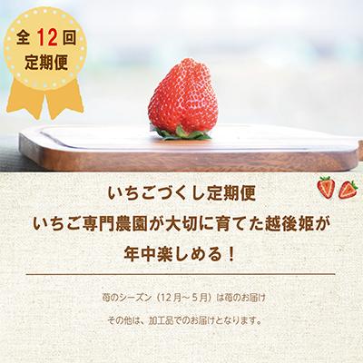 ふるさと納税 上越市 【発送月固定定期便】いちごづくし定期配送 全12回