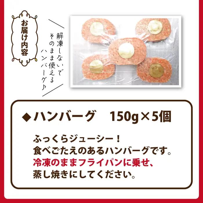 国産 四元豚 ハンバーグ 150g×5個｜ 小分け 真空パック 「ありすぽーく」