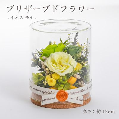 ふるさと納税 羽島市 プリザーブドフラワー ガラスケース入りアレンジ 【イネス モナ(グリーン)】
