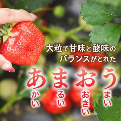 ふるさと納税 糸島市 糸島産 完熟あまおう 280g×4パック (デラックスサイズ) / 小河農園[AJN002] |  | 01