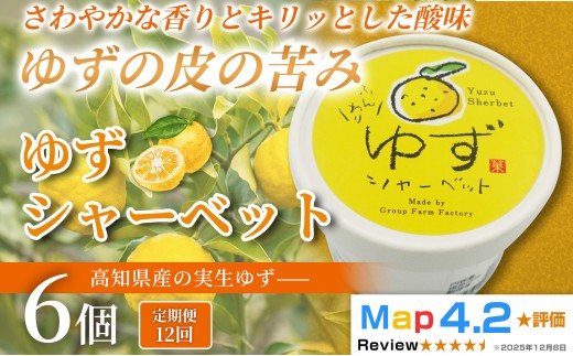 ゆず シャーベット 72個 100ml×6個×12回定期便 アイスクリーム シャーベットアイス 人気 柚子 ユズ ゆずアイス 濃厚 コク お菓子 洋菓子  スイーツ デザート デザートカップ デザートアイス キャンデー カップアイス ジェラート 手作り ホームパーティー バラエティ お取り寄せ おもてなし 詰め合わせ 贈り物 贈答 冷凍 ギフト プレゼント ロングセラー リピート 安芸市 高知県