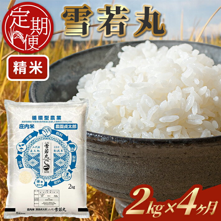 【ふるさと納税】≪4ヶ月定期便≫ 雪若丸 精米 2kg×4ヶ月連続 計8kg 令和7年産 山形県産 ご希望期間の毎月下旬にお届け 白米 庄内米 米 ごはん ご飯 一人暮らし 少人数 小分け 酒田市 庄内 山形県 東北 定期便 4回