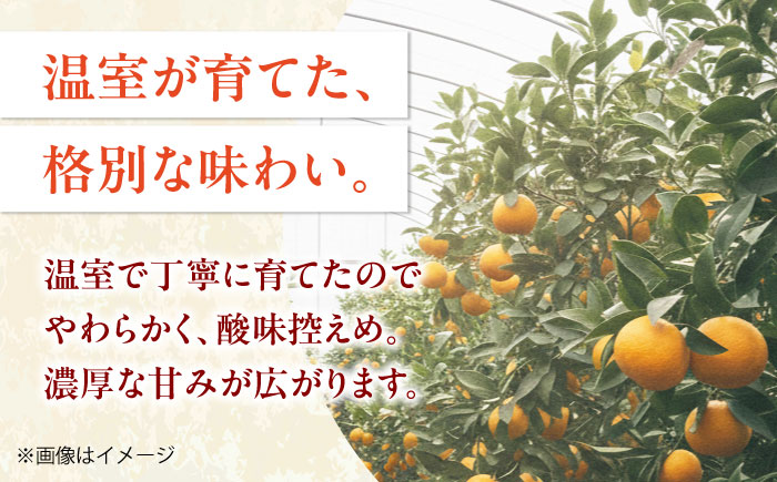 ハウスみかん 2kg 【7月下旬から9月下旬まで順次発送】 / フルーツ 果物 蜜柑 ミカン オレンジ 小玉 甘い 先行予約 2kg 愛媛 / 愛媛県砥部町/株式会社フジ・アグリフーズ [BJBI00