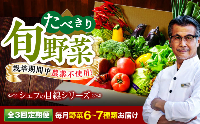【全3回定期便】 【シェフの目線】　野菜 6から7種　単身・二人暮らし用セット　愛媛県大洲市/有限会社ヒロファミリーフーズ 野菜 やさい 少量セット 食べきり [AGBX044]