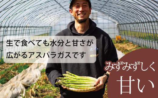 2026年産予約受付　北海道産アスパラガス  1kg　有機栽培【AO-002】